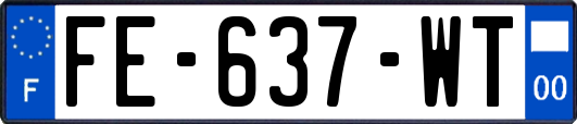 FE-637-WT