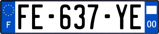FE-637-YE