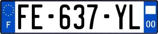 FE-637-YL
