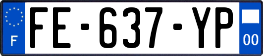 FE-637-YP