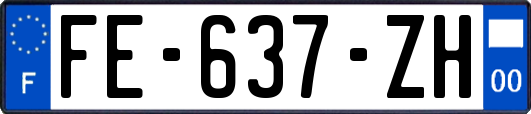 FE-637-ZH