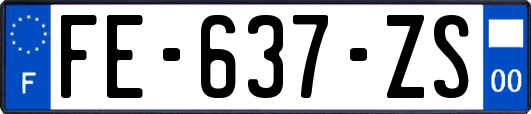 FE-637-ZS