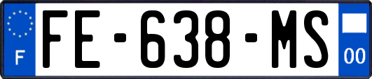 FE-638-MS