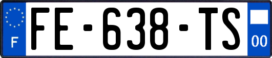 FE-638-TS
