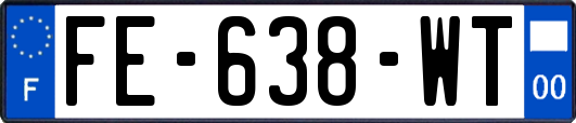 FE-638-WT