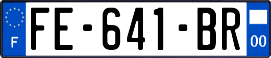 FE-641-BR