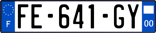 FE-641-GY