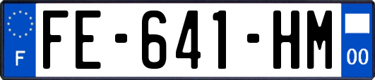 FE-641-HM