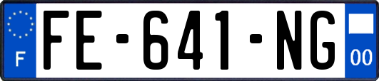 FE-641-NG