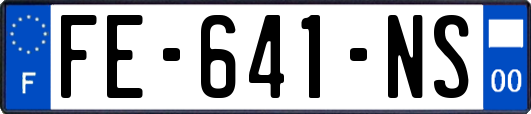 FE-641-NS