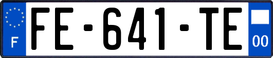 FE-641-TE