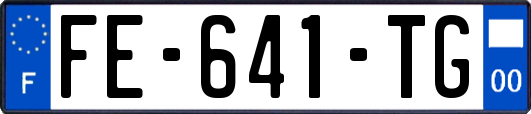 FE-641-TG