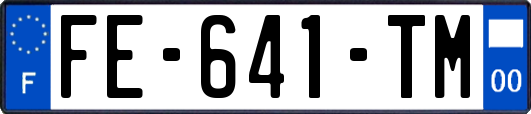 FE-641-TM
