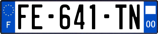 FE-641-TN