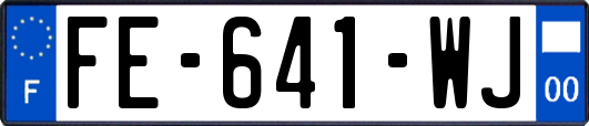 FE-641-WJ