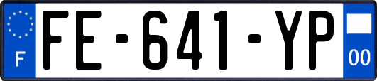 FE-641-YP
