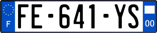 FE-641-YS