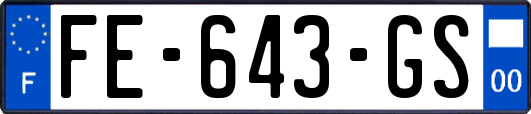 FE-643-GS