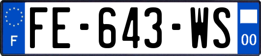 FE-643-WS
