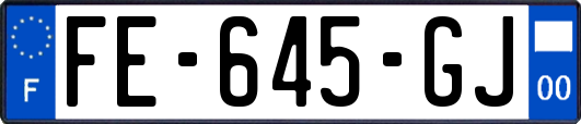 FE-645-GJ
