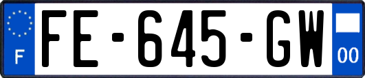 FE-645-GW