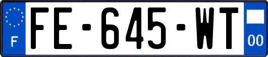 FE-645-WT