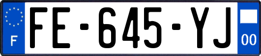 FE-645-YJ