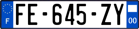 FE-645-ZY