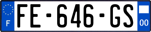 FE-646-GS