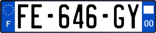 FE-646-GY