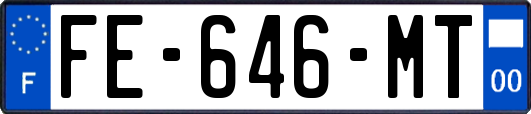 FE-646-MT