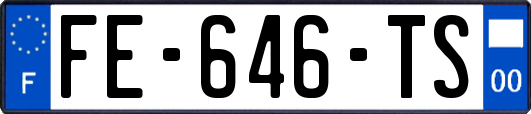 FE-646-TS