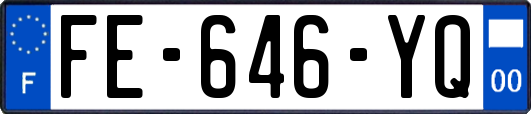 FE-646-YQ