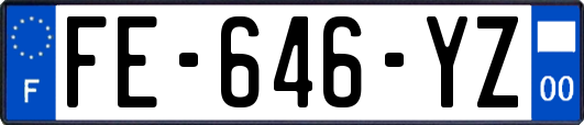 FE-646-YZ