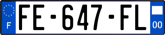 FE-647-FL