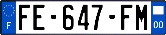 FE-647-FM