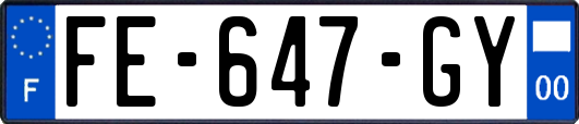 FE-647-GY