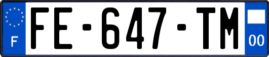 FE-647-TM