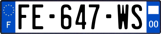 FE-647-WS