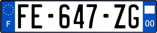 FE-647-ZG