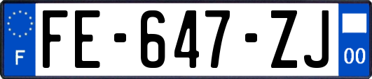 FE-647-ZJ