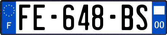 FE-648-BS