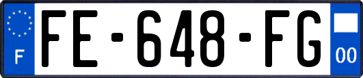 FE-648-FG