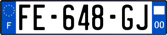 FE-648-GJ