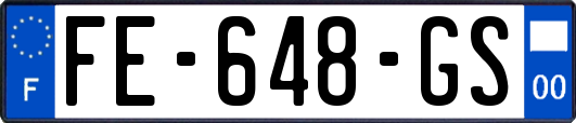 FE-648-GS