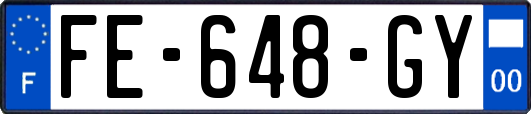 FE-648-GY