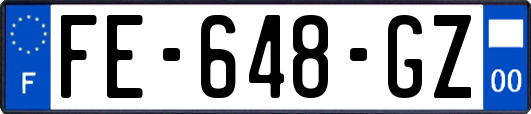 FE-648-GZ