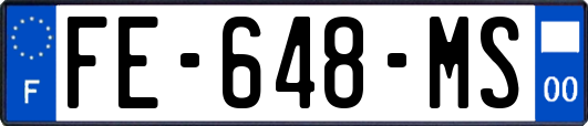 FE-648-MS
