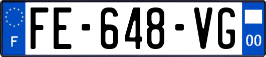 FE-648-VG