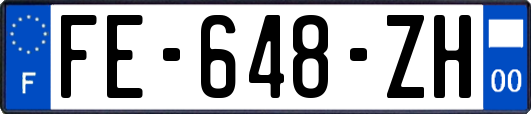 FE-648-ZH